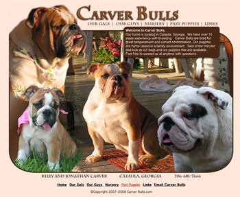 Carver Bulls