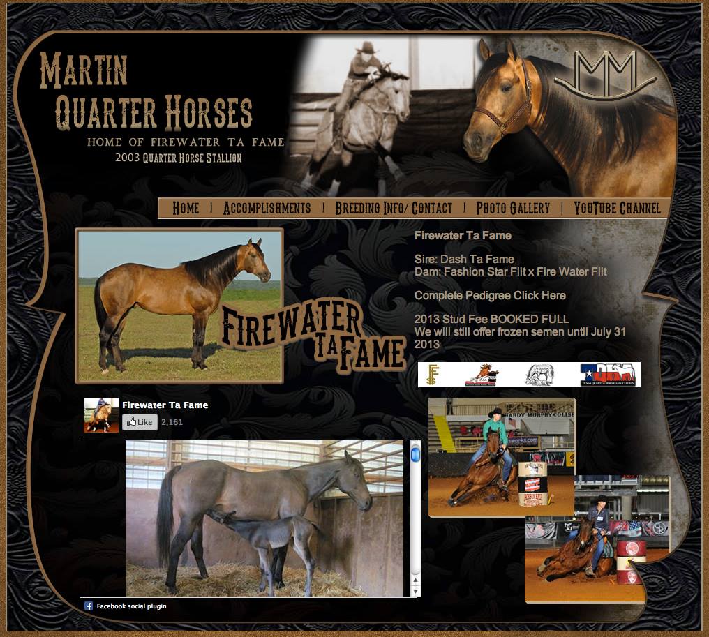 Martin Quarter Horses